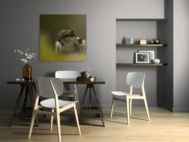 Tablou Canvas, "Pârșul surprins în mijlocul poveștii", Veveriță, Alertă, Blană, Ochi, Natură, Verde, Curiozitate, Whisper, 100 x 100 cm – poza 6