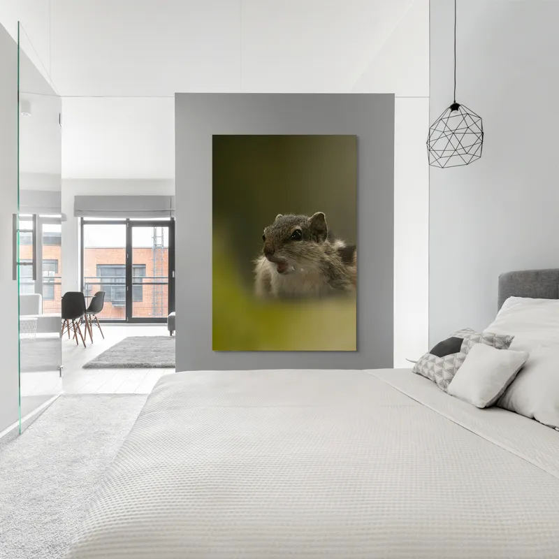 Tablou Canvas, "Pârșul surprins în mijlocul poveștii", Veveriță, Alertă, Blană, Ochi, Natură, Verde, Curiozitate, Whisper, 100 x 150 cm – poza 5