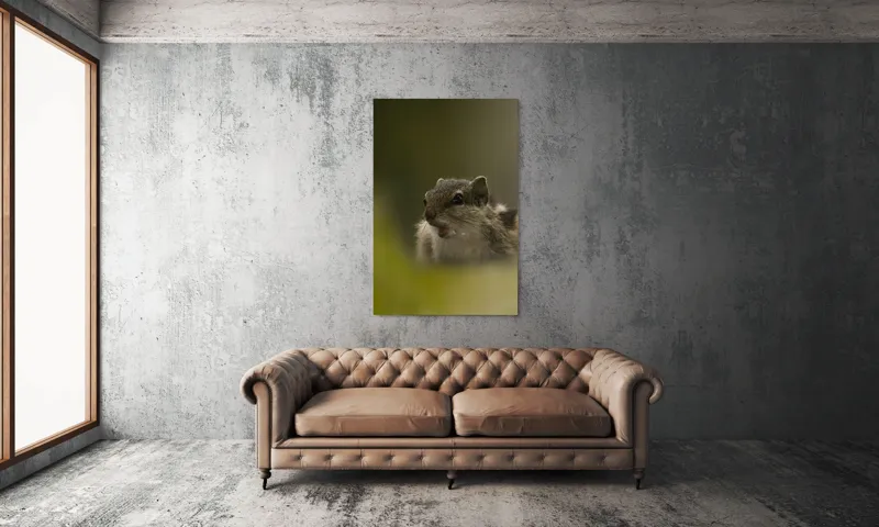 Tablou Canvas, "Pârșul surprins în mijlocul poveștii", Veveriță, Alertă, Blană, Ochi, Natură, Verde, Curiozitate, Whisper, 100 x 150 cm – poza 6