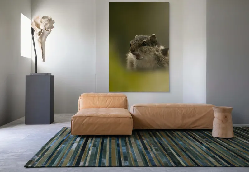 Tablou Canvas, "Pârșul surprins în mijlocul poveștii", Veveriță, Alertă, Blană, Ochi, Natură, Verde, Curiozitate, Whisper, 100 x 150 cm – poza 7