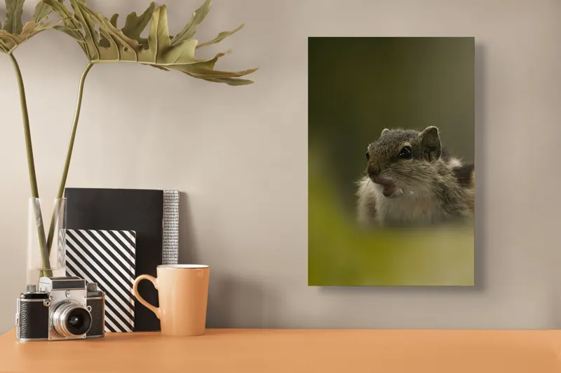 Tablou Canvas, "Pârșul surprins în mijlocul poveștii", Veveriță, Alertă, Blană, Ochi, Natură, Verde, Curiozitate, Whisper, 26 x 39 cm – poza 3