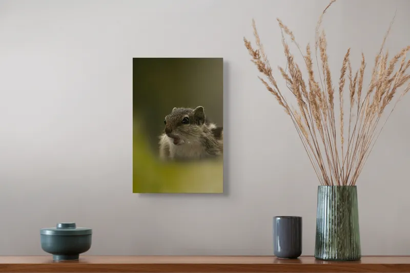 Tablou Canvas, "Pârșul surprins în mijlocul poveștii", Veveriță, Alertă, Blană, Ochi, Natură, Verde, Curiozitate, Whisper, 26 x 39 cm – poza 5