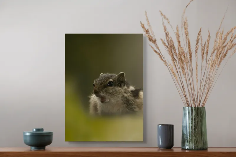 Tablou Canvas, "Pârșul surprins în mijlocul poveștii", Veveriță, Alertă, Blană, Ochi, Natură, Verde, Curiozitate, Whisper, 39 x 54 cm – poza 3