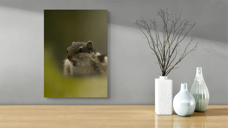 Tablou Canvas, "Pârșul surprins în mijlocul poveștii", Veveriță, Alertă, Blană, Ochi, Natură, Verde, Curiozitate, Whisper, 39 x 54 cm – poza 4