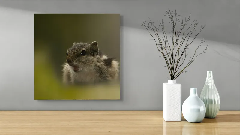 Tablou Canvas, "Pârșul surprins în mijlocul poveștii", Veveriță, Alertă, Blană, Ochi, Natură, Verde, Curiozitate, Whisper, 50 x 50 cm – poza 3