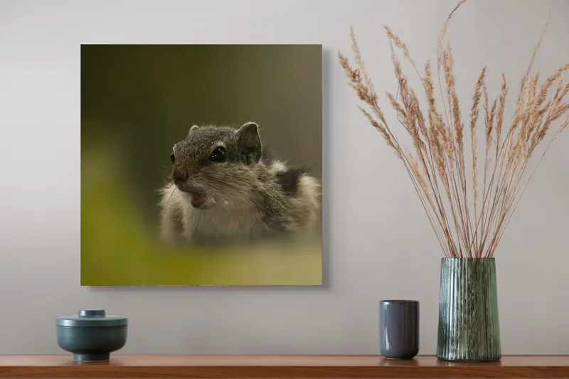 Tablou Canvas, "Pârșul surprins în mijlocul poveștii", Veveriță, Alertă, Blană, Ochi, Natură, Verde, Curiozitate, Whisper, 50 x 50 cm – poza 4
