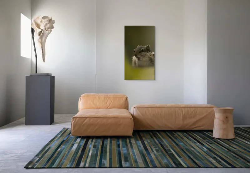 Tablou Canvas, "Pârșul surprins în mijlocul poveștii", Veveriță, Alertă, Blană, Ochi, Natură, Verde, Curiozitate, Whisper, 50 x 90 cm – poza 5