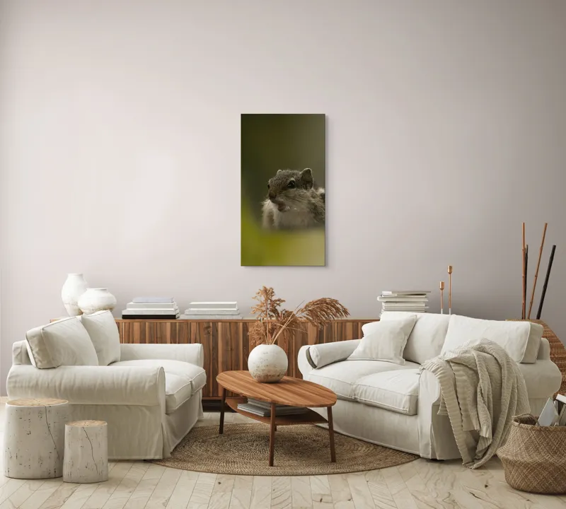 Tablou Canvas, "Pârșul surprins în mijlocul poveștii", Veveriță, Alertă, Blană, Ochi, Natură, Verde, Curiozitate, Whisper, 50 x 90 cm – poza 7