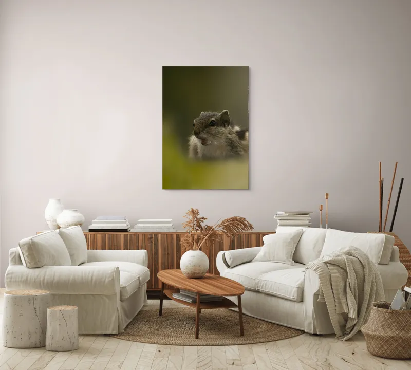 Tablou Canvas, "Pârșul surprins în mijlocul poveștii", Veveriță, Alertă, Blană, Ochi, Natură, Verde, Curiozitate, Whisper, 70 x 100 cm – poza 4