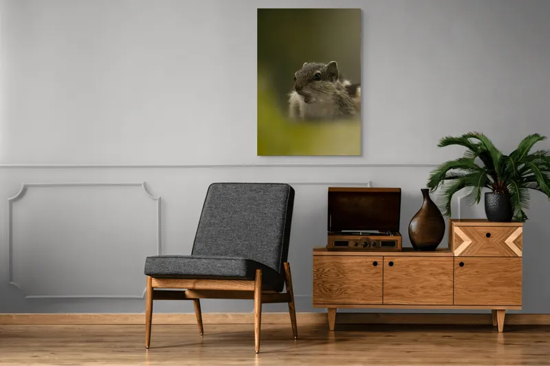 Tablou Canvas, "Pârșul surprins în mijlocul poveștii", Veveriță, Alertă, Blană, Ochi, Natură, Verde, Curiozitate, Whisper, 70 x 100 cm – poza 6