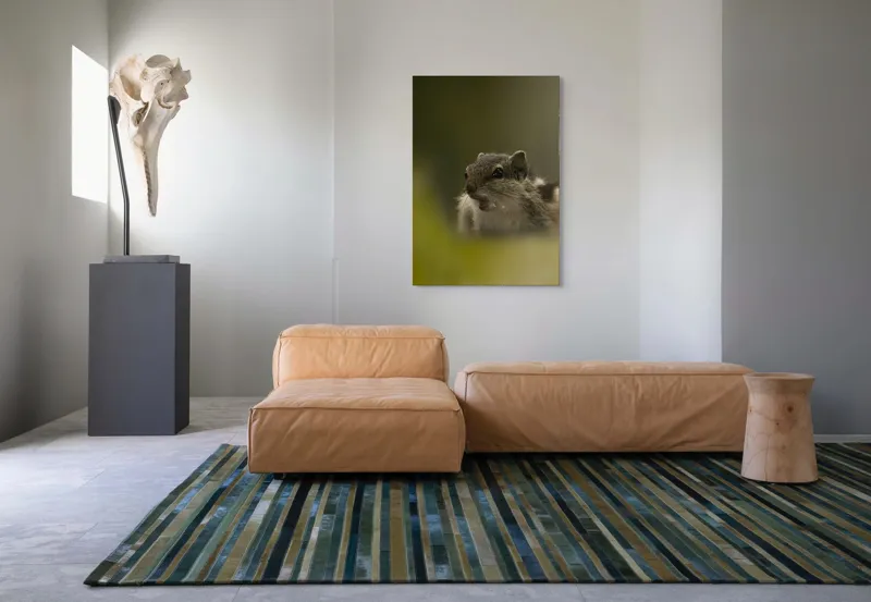 Tablou Canvas, "Pârșul surprins în mijlocul poveștii", Veveriță, Alertă, Blană, Ochi, Natură, Verde, Curiozitate, Whisper, 70 x 100 cm – poza 7