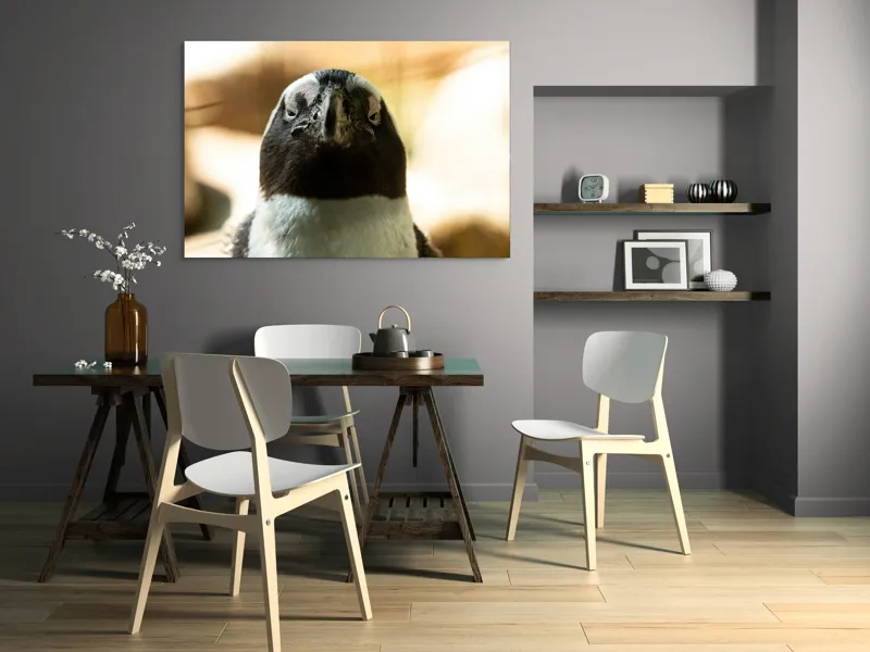 Tablou Canvas, "Privirea enigmatică a pinguinului african", Pingvin, Privire, Amuzant, Pene, Ochi, Apropiere, Contrast, Natural, Blana, Calm., 150 x 100 cm – poza 5