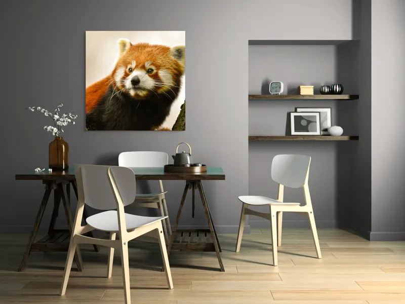 Tablou Canvas, "Micuțul panda roșu printre copaci", Roșcat, Blană, Urechiușe, Privire, Copac, Natură, Drăgălaș, Curios, Mic, Adorabil, 100 x 100 cm – poza 6