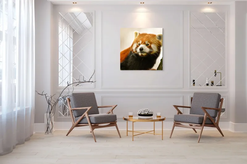 Tablou Canvas, "Micuțul panda roșu printre copaci", Roșcat, Blană, Urechiușe, Privire, Copac, Natură, Drăgălaș, Curios, Mic, Adorabil, 100 x 100 cm – poza 7