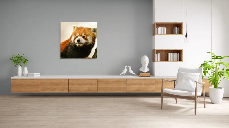 Tablou Canvas, "Micuțul panda roșu printre copaci", Roșcat, Blană, Urechiușe, Privire, Copac, Natură, Drăgălaș, Curios, Mic, Adorabil, 100 x 100 cm – poza 8