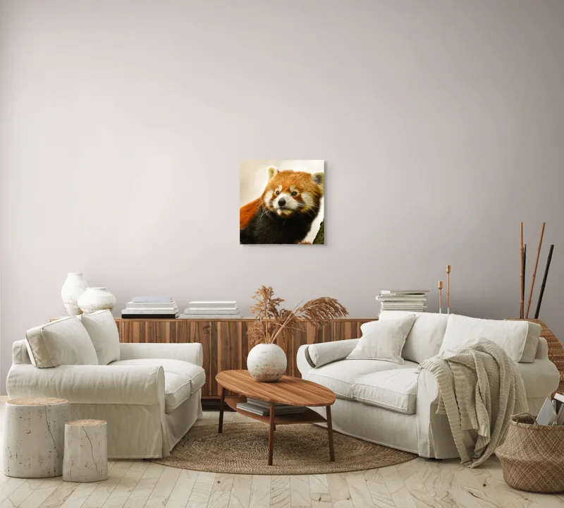 Tablou Canvas, "Micuțul panda roșu printre copaci", Roșcat, Blană, Urechiușe, Privire, Copac, Natură, Drăgălaș, Curios, Mic, Adorabil, 50 x 50 cm – poza 7