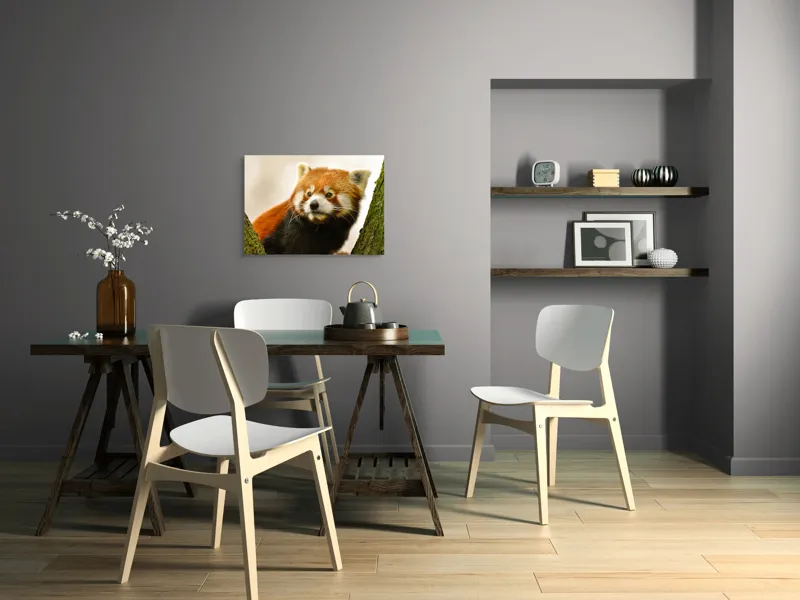 Tablou Canvas, "Micuțul panda roșu printre copaci", Roșcat, Blană, Urechiușe, Privire, Copac, Natură, Drăgălaș, Curios, Mic, Adorabil, 70 x 50 cm – poza 5
