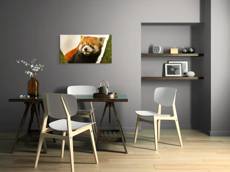 Tablou Canvas, "Micuțul panda roșu printre copaci", Roșcat, Blană, Urechiușe, Privire, Copac, Natură, Drăgălaș, Curios, Mic, Adorabil, 90 x 50 cm – poza 3