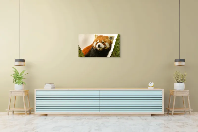 Tablou Canvas, "Micuțul panda roșu printre copaci", Roșcat, Blană, Urechiușe, Privire, Copac, Natură, Drăgălaș, Curios, Mic, Adorabil, 90 x 50 cm – poza 5