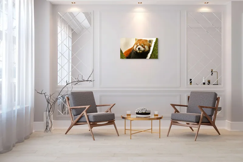 Tablou Canvas, "Micuțul panda roșu printre copaci", Roșcat, Blană, Urechiușe, Privire, Copac, Natură, Drăgălaș, Curios, Mic, Adorabil, 90 x 50 cm – poza 7