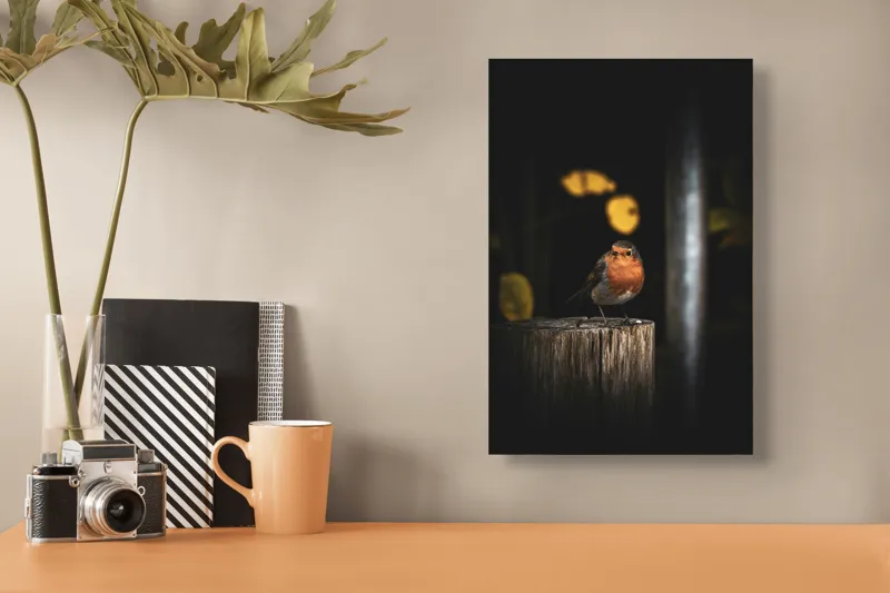 Tablou Canvas, "Mierla pe stâlp în amurg", Pasăre, Roșie, Lemn, Întuneric, Frunze, Natură, Lumină, 26 x 39 cm – poza 3