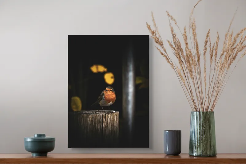 Tablou Canvas, "Mierla pe stâlp în amurg", Pasăre, Roșie, Lemn, Întuneric, Frunze, Natură, Lumină, 39 x 54 cm – poza 3