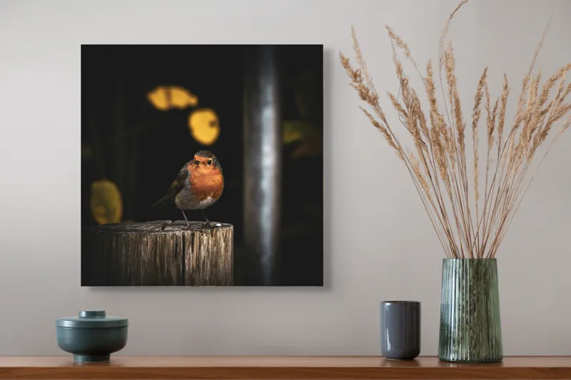 Tablou Canvas, "Mierla pe stâlp în amurg", Pasăre, Roșie, Lemn, Întuneric, Frunze, Natură, Lumină, 50 x 50 cm – poza 4