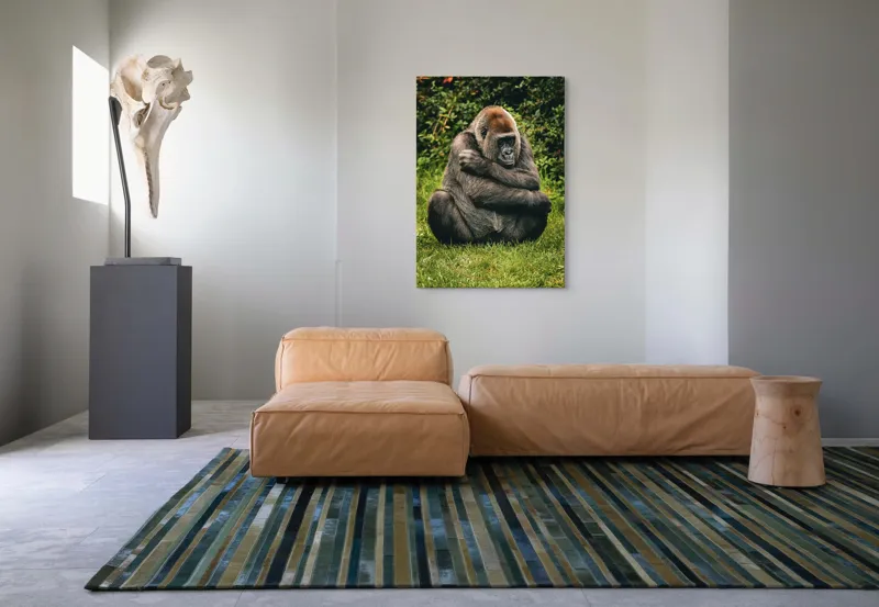 Tablou Canvas, "Gorila meditând în liniștea naturii", 70 x 100 cm – poza 7