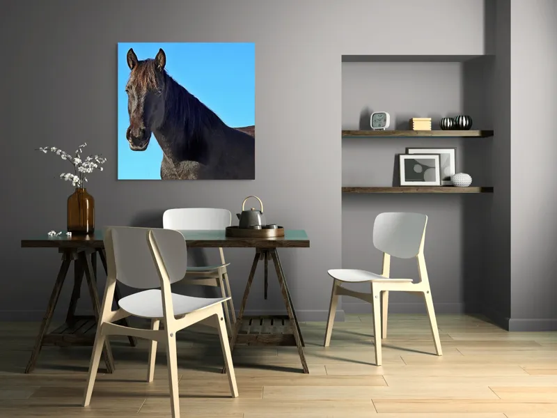 Tablou Canvas, "Calul negru în lumina soarelui", Cal, Negru, Cer, Soare, Liber, Grațios, Puternic, Frumos, Majestuos, Vifor, 100 x 100 cm – poza 6