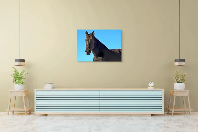 Tablou Canvas, "Calul negru în lumina soarelui", Cal, Negru, Cer, Soare, Liber, Grațios, Puternic, Frumos, Majestuos, Vifor, 100 x 70 cm – poza 4