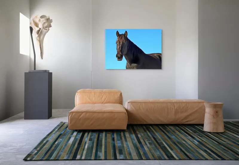 Tablou Canvas, "Calul negru în lumina soarelui", Cal, Negru, Cer, Soare, Liber, Grațios, Puternic, Frumos, Majestuos, Vifor, 100 x 70 cm – poza 7
