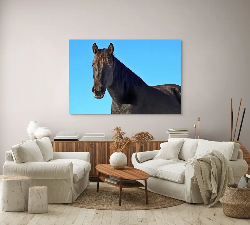 Tablou Canvas, "Calul negru în lumina soarelui", Cal, Negru, Cer, Soare, Liber, Grațios, Puternic, Frumos, Majestuos, Vifor, 150 x 100 cm – poza 3