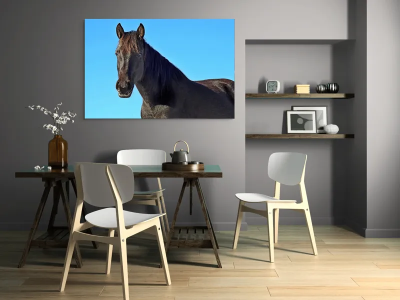 Tablou Canvas, "Calul negru în lumina soarelui", Cal, Negru, Cer, Soare, Liber, Grațios, Puternic, Frumos, Majestuos, Vifor, 150 x 100 cm – poza 5