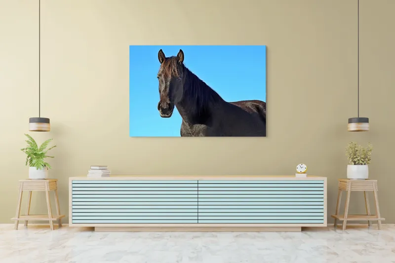 Tablou Canvas, "Calul negru în lumina soarelui", Cal, Negru, Cer, Soare, Liber, Grațios, Puternic, Frumos, Majestuos, Vifor, 150 x 100 cm – poza 6