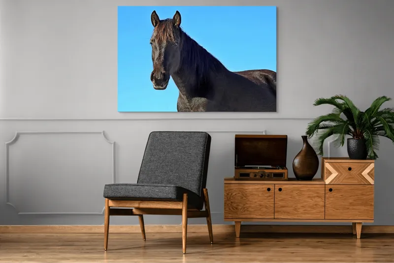 Tablou Canvas, "Calul negru în lumina soarelui", Cal, Negru, Cer, Soare, Liber, Grațios, Puternic, Frumos, Majestuos, Vifor, 150 x 100 cm – poza 8