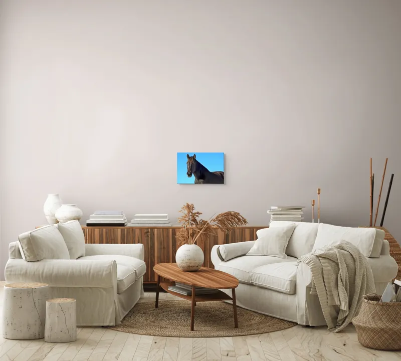 Tablou Canvas, "Calul negru în lumina soarelui", Cal, Negru, Cer, Soare, Liber, Grațios, Puternic, Frumos, Majestuos, Vifor, 39 x 26 cm – poza 7
