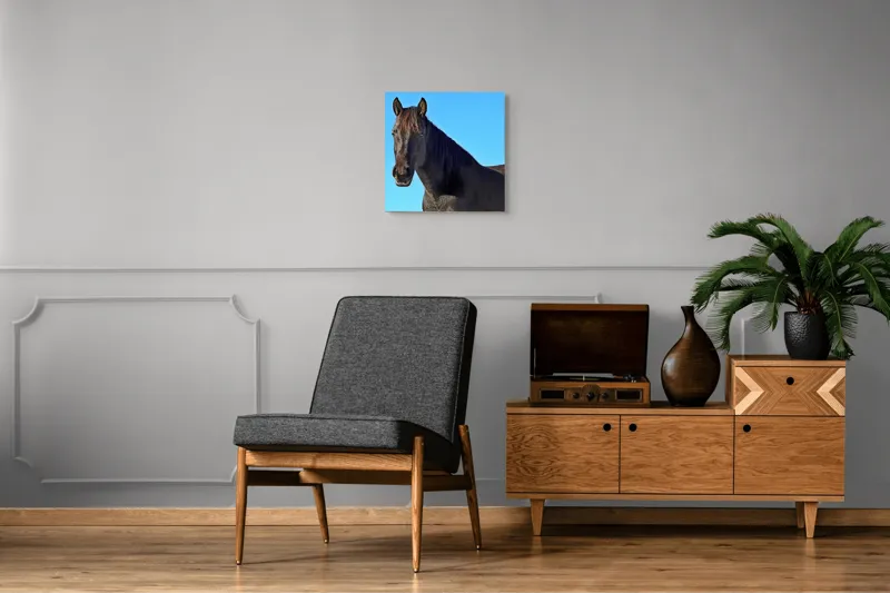 Tablou Canvas, "Calul negru în lumina soarelui", Cal, Negru, Cer, Soare, Liber, Grațios, Puternic, Frumos, Majestuos, Vifor, 50 x 50 cm – poza 6