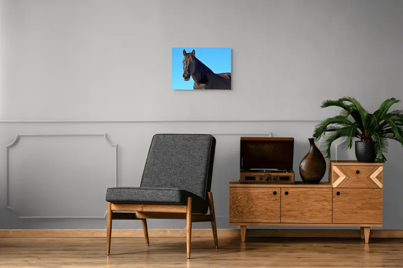 Tablou Canvas, "Calul negru în lumina soarelui", Cal, Negru, Cer, Soare, Liber, Grațios, Puternic, Frumos, Majestuos, Vifor, 54 x 39 cm – poza 7