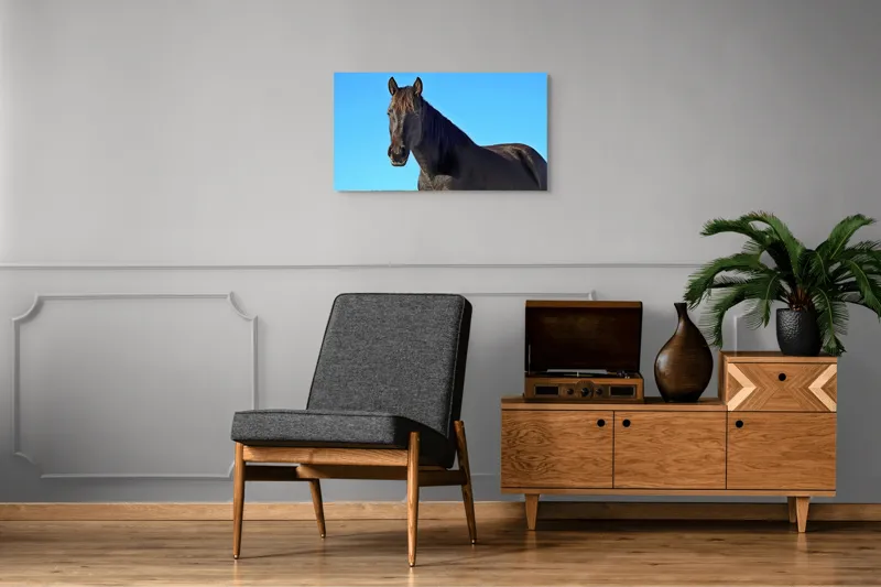 Tablou Canvas, "Calul negru în lumina soarelui", Cal, Negru, Cer, Soare, Liber, Grațios, Puternic, Frumos, Majestuos, Vifor, 90 x 50 cm – poza 6