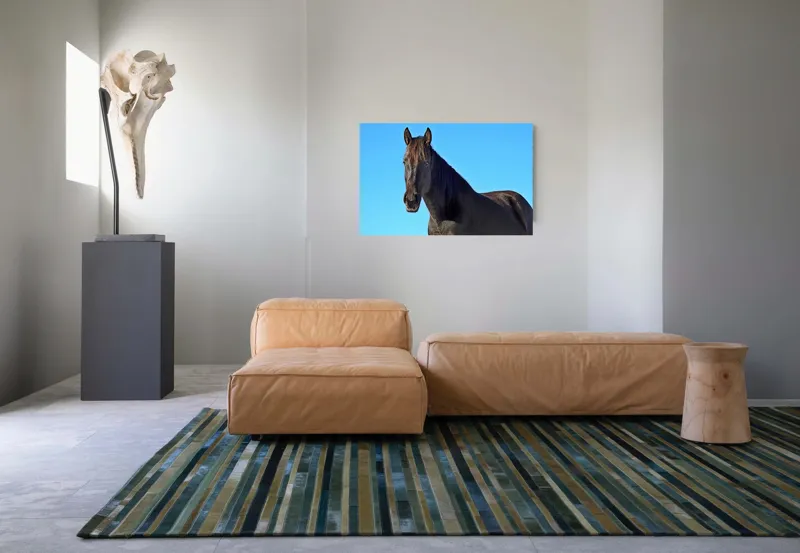 Tablou Canvas, "Calul negru în lumina soarelui", Cal, Negru, Cer, Soare, Liber, Grațios, Puternic, Frumos, Majestuos, Vifor, 90 x 50 cm – poza 8