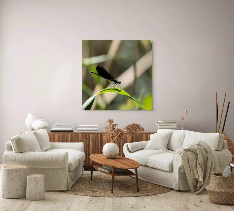 Tablou Canvas, "Libelula odihnindu-se pe frunză verde", Libelulă, Frunză, Umbră, Natură, Verde, Zburătoare, Delicatețe, Antene., 100 x 100 cm – poza 3