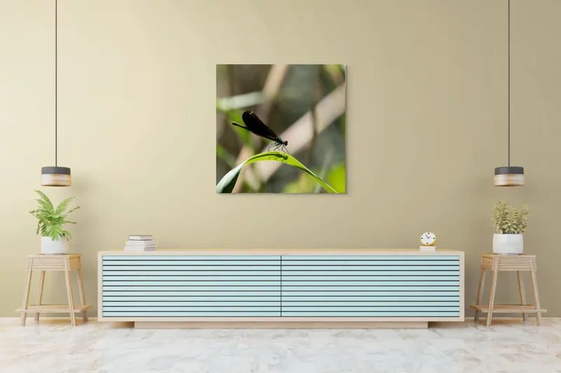 Tablou Canvas, "Libelula odihnindu-se pe frunză verde", Libelulă, Frunză, Umbră, Natură, Verde, Zburătoare, Delicatețe, Antene., 100 x 100 cm – poza 5