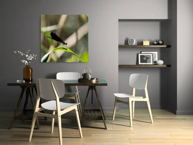 Tablou Canvas, "Libelula odihnindu-se pe frunză verde", Libelulă, Frunză, Umbră, Natură, Verde, Zburătoare, Delicatețe, Antene., 100 x 100 cm – poza 6