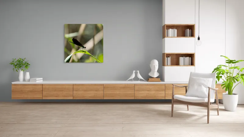 Tablou Canvas, "Libelula odihnindu-se pe frunză verde", Libelulă, Frunză, Umbră, Natură, Verde, Zburătoare, Delicatețe, Antene., 100 x 100 cm – poza 8