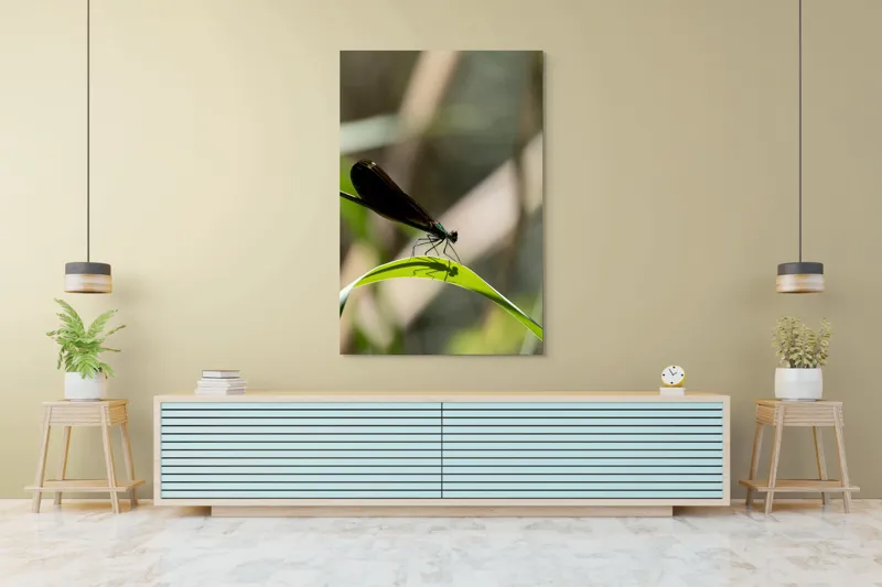 Tablou Canvas, "Libelula odihnindu-se pe frunză verde", Libelulă, Frunză, Umbră, Natură, Verde, Zburătoare, Delicatețe, Antene., 100 x 150 cm – poza 4