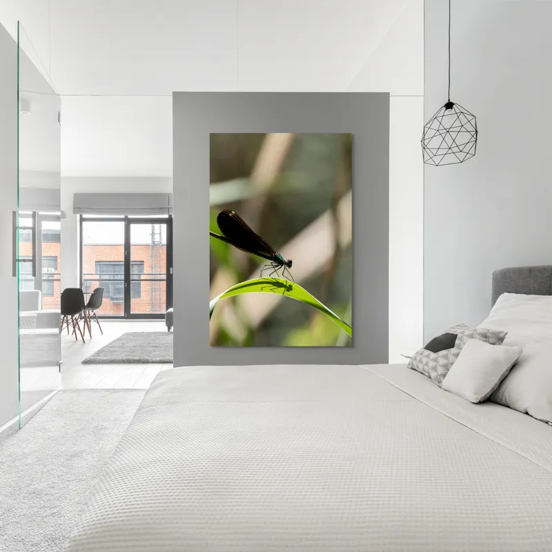 Tablou Canvas, "Libelula odihnindu-se pe frunză verde", Libelulă, Frunză, Umbră, Natură, Verde, Zburătoare, Delicatețe, Antene., 100 x 150 cm – poza 5