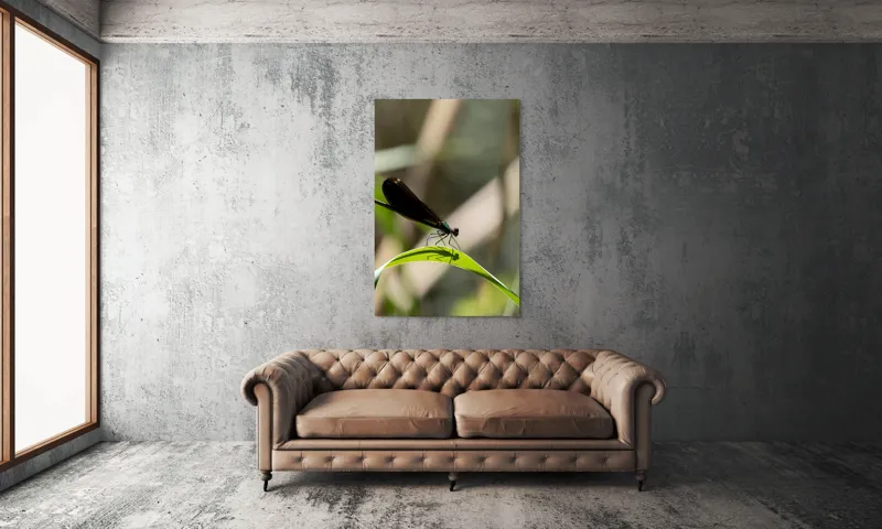 Tablou Canvas, "Libelula odihnindu-se pe frunză verde", Libelulă, Frunză, Umbră, Natură, Verde, Zburătoare, Delicatețe, Antene., 100 x 150 cm – poza 6