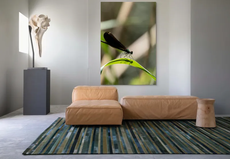 Tablou Canvas, "Libelula odihnindu-se pe frunză verde", Libelulă, Frunză, Umbră, Natură, Verde, Zburătoare, Delicatețe, Antene., 100 x 150 cm – poza 7