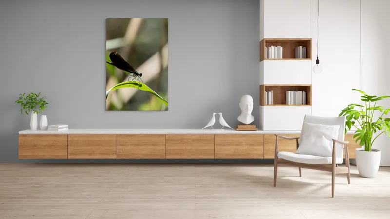Tablou Canvas, "Libelula odihnindu-se pe frunză verde", Libelulă, Frunză, Umbră, Natură, Verde, Zburătoare, Delicatețe, Antene., 100 x 150 cm – poza 8