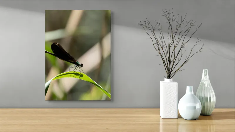 Tablou Canvas, "Libelula odihnindu-se pe frunză verde", Libelulă, Frunză, Umbră, Natură, Verde, Zburătoare, Delicatețe, Antene., 39 x 54 cm – poza 4